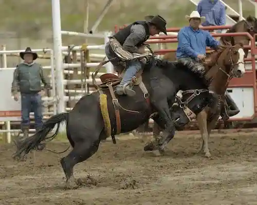 A photo of rodeo in Elk Point.